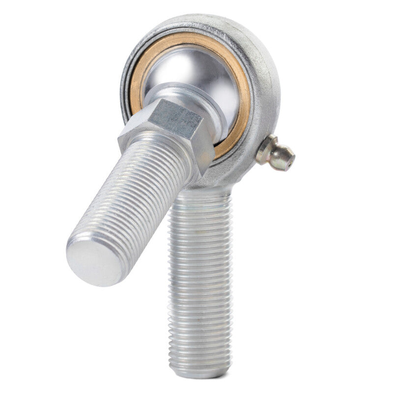 Photo - Primary