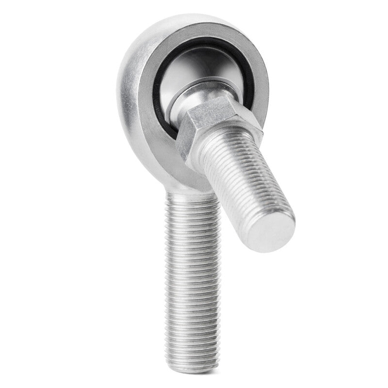 Photo - Primary
