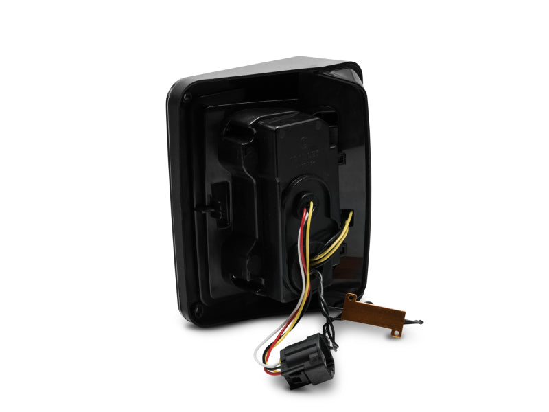 Photo - Close Up