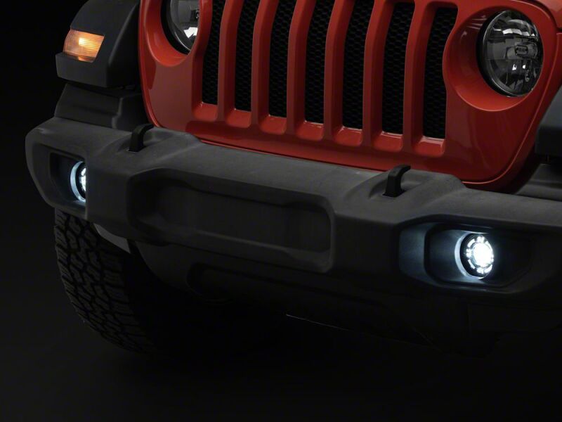 Photo - Close Up