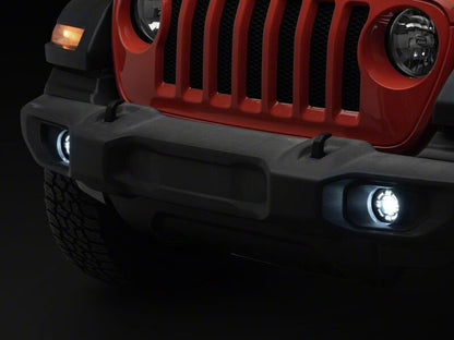 Photo - Close Up