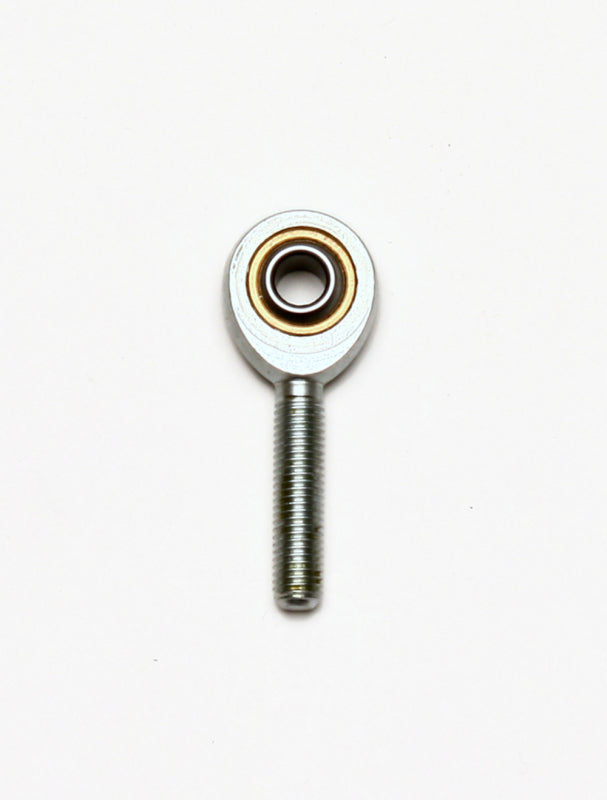 Photo - Primary