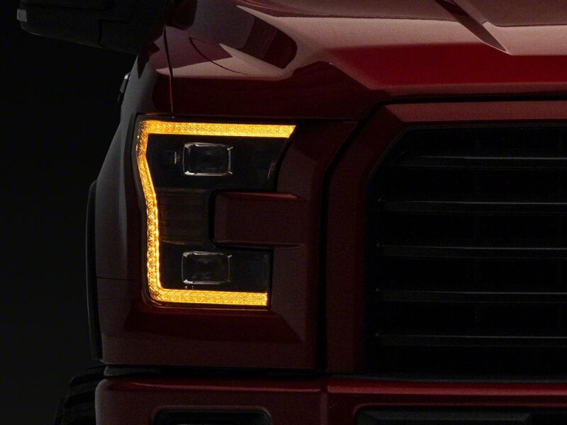 Photo - Close Up
