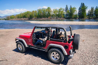 Photo - Close Up